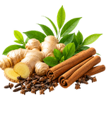 Nature's Path to Wellness